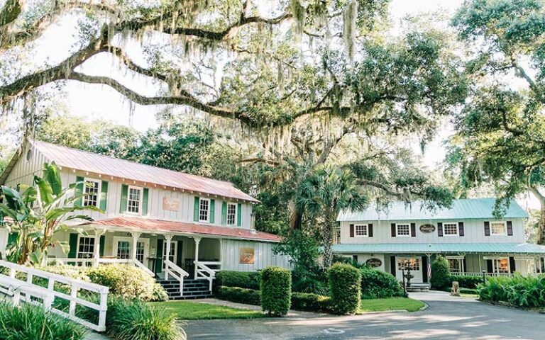 two house style shop buildings with porches under trees at palmetto walk shopping village amelia island