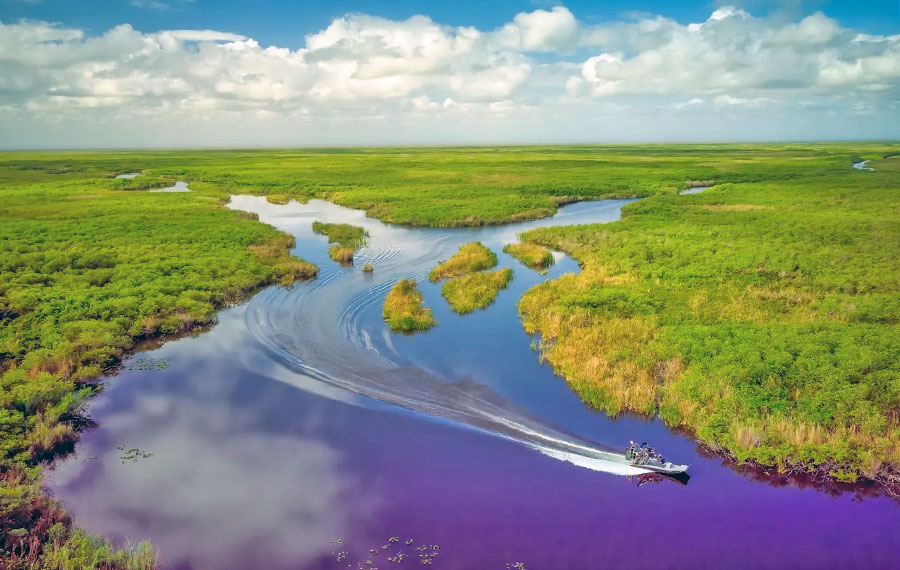 aerial view of everglades near miami with airboat curving across wetlands