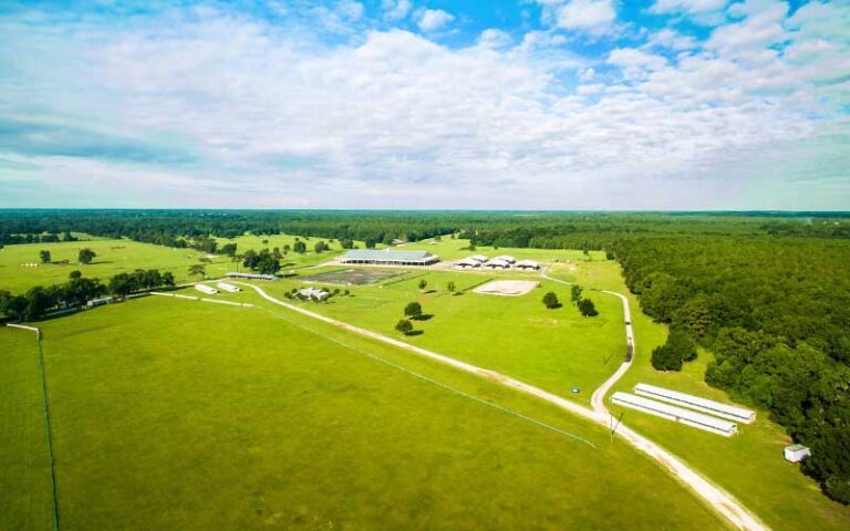 aerial view of park area with building and sports fields at florida horse park ocala