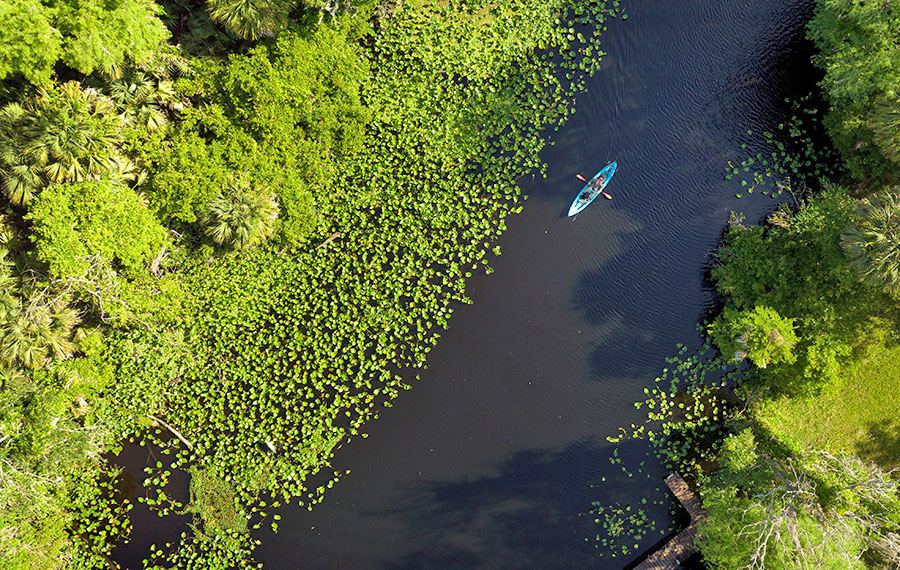 aerial view of wekiva river with man kayaking between bright green foliage