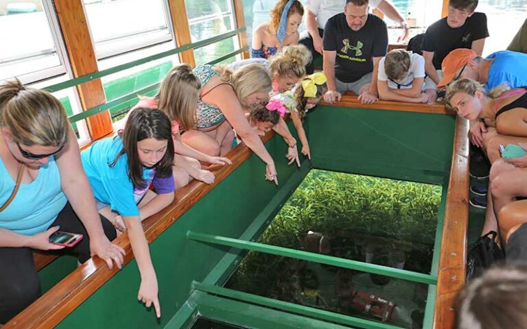 all ages group in boat looking through bottom underwater at glass bottom boat tours at silver springs ocala