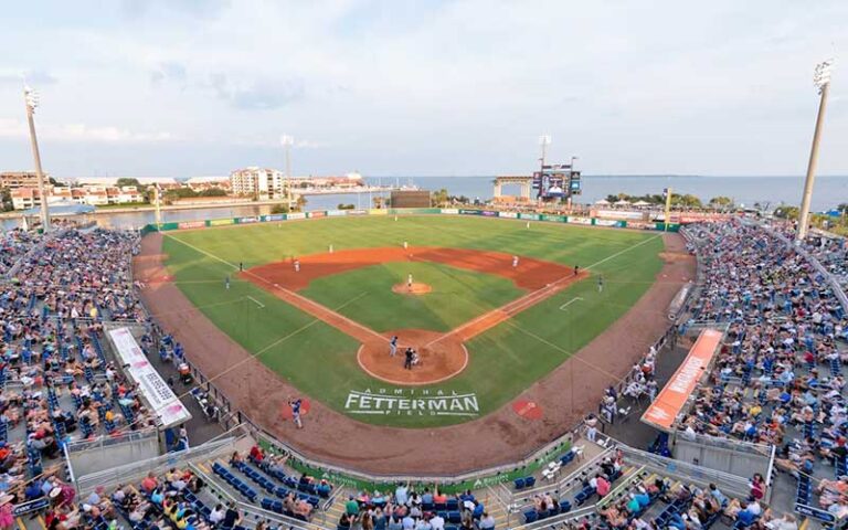 baseball field with players and crowd at blue wahoos stadium pensacola