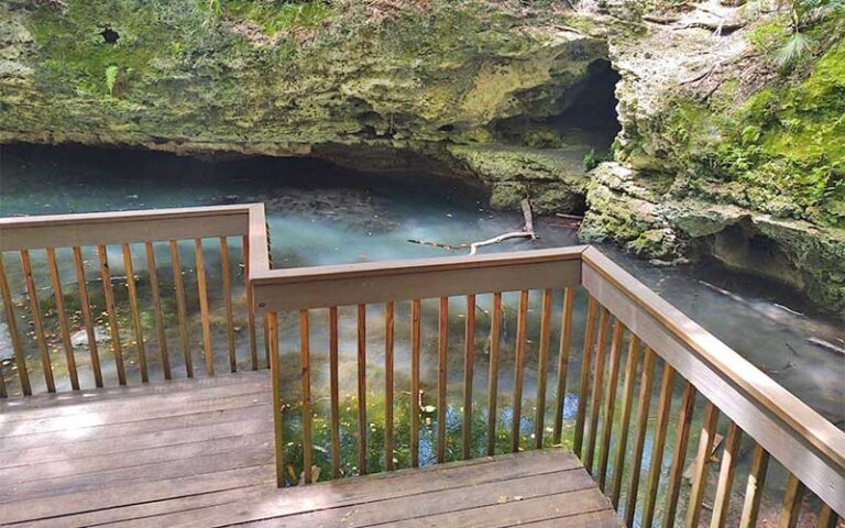 boardwalk deck overlooking grotto spring at scott springs park ocala