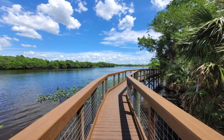 boardwalk pathway along bank of st johns river with blue sky at black bear wilderness area sanford