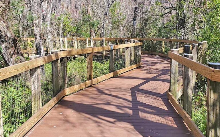 boardwalk trail leading through hammock over wetlands at oakland nature preserve winter garden orlando