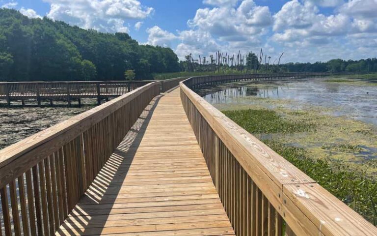 boardwalks over marsh with bird viewing areas at orlando wetlands christmas