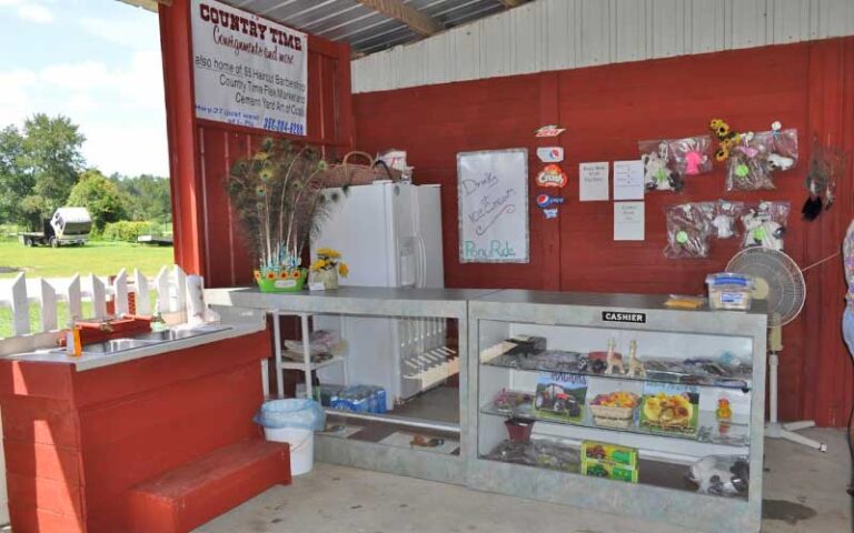 counter and hand wash station in barn at petting zoo ocala