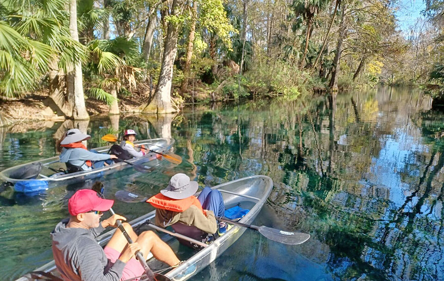 couples in clear kayaks paddling along glassy river with dense hammock along bank epic paddle adventures orlando