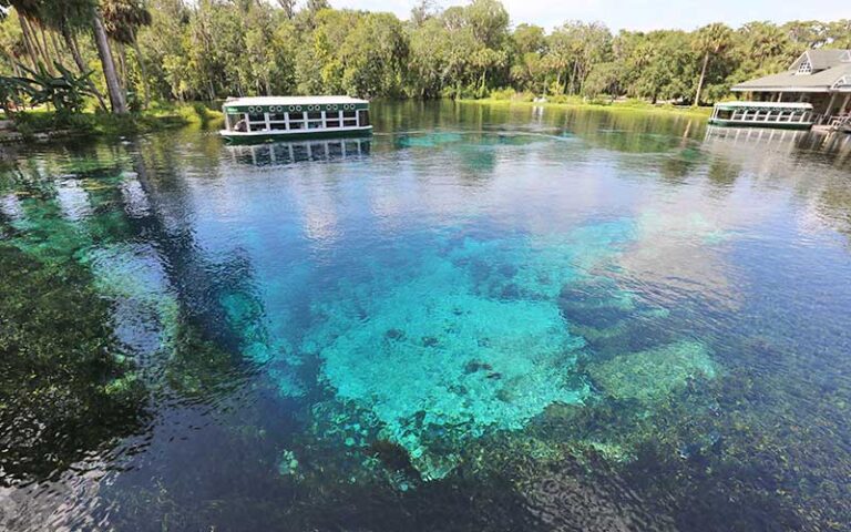 crystal clear blue spring with tour boats and dock at glass bottom boat tours at silver springs ocala