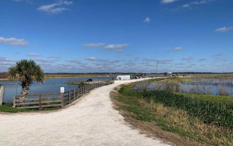 curving canal road with fence and water at lake apopka wildlife drive