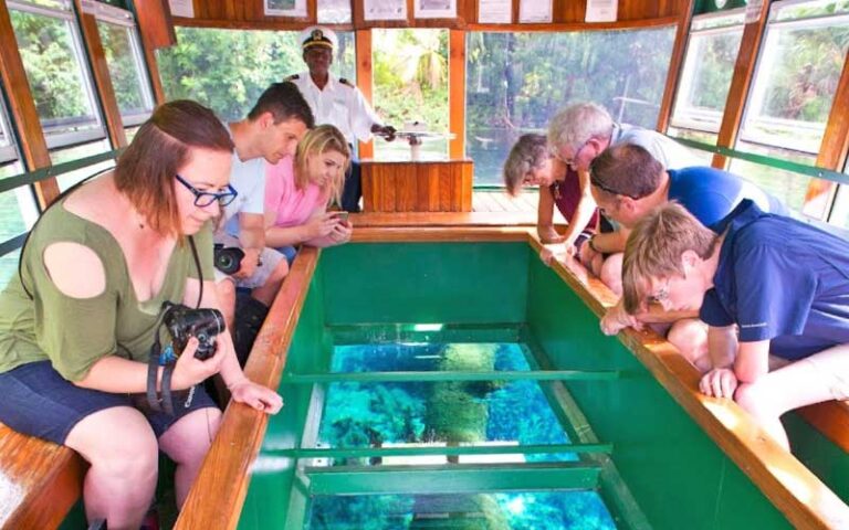 family viewing underwater in boat tour with captain at glass bottom boat tours at silver springs ocala