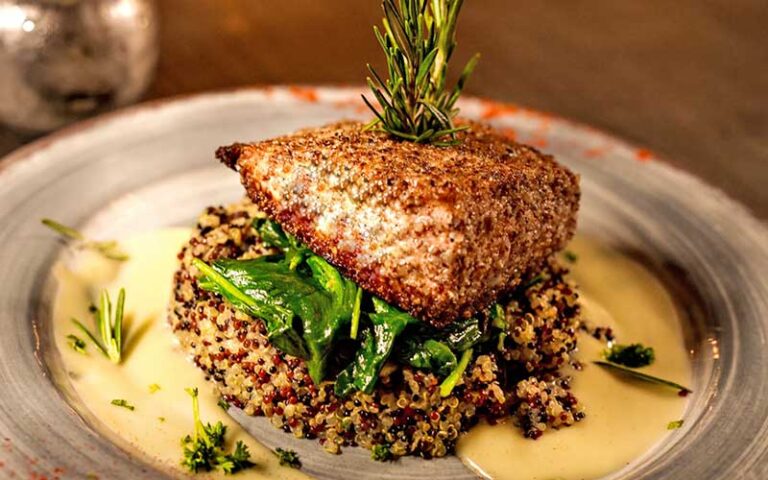 fish fillet on quinoa entree at ivy on the square ocala