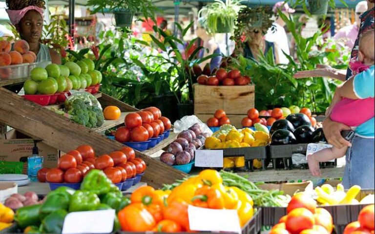 fruit and vegetable stand with shoppers at ocala downtown market