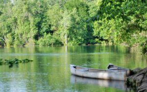 green foliage with river and two moored canoes at little wekiva river preserve state park sanford