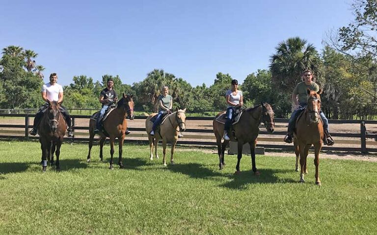 group on five horses spaced out with fence at hidden palms ranch sanford orlando