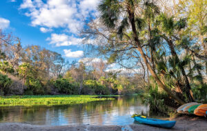 headwaters of wekiva river with kayaks along bank and blue sky at wekiwa springs state park