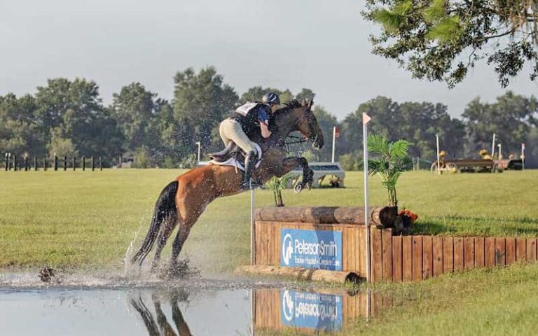 horseback rider jumping obstacle at florida horse park ocala