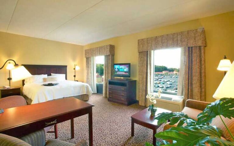 king bed room with view at hampton inn suites ocala belleview