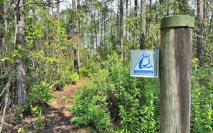 narrow trail through wooded canopy with post sign screech owl trail at tibet butler nature preserve orlando