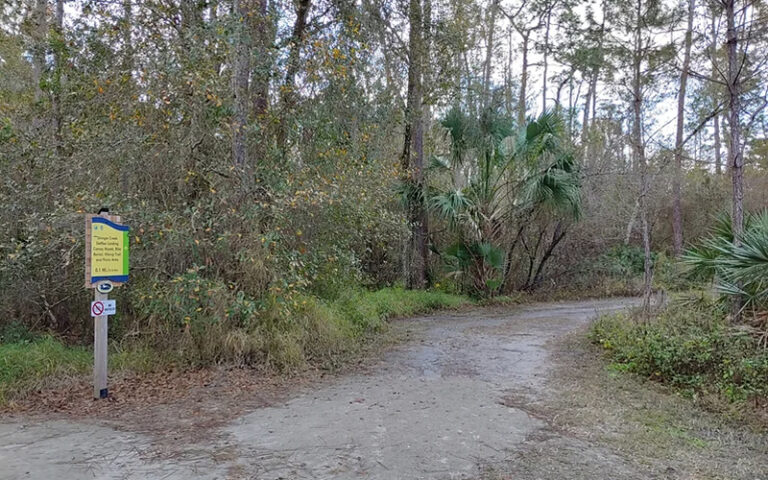 path in woods with marker at shingle creek regional park steffee landing kissimmee