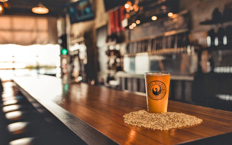 pint of beer with hops on bar at swan brewing lakeland