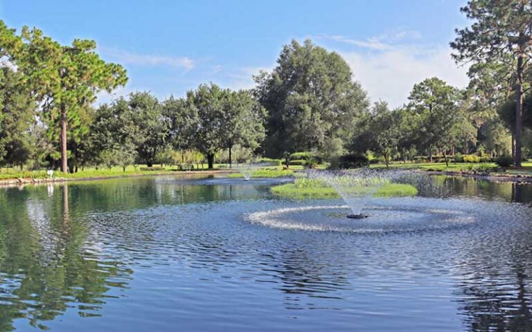 pond with fountain and park background at sholom park ocala