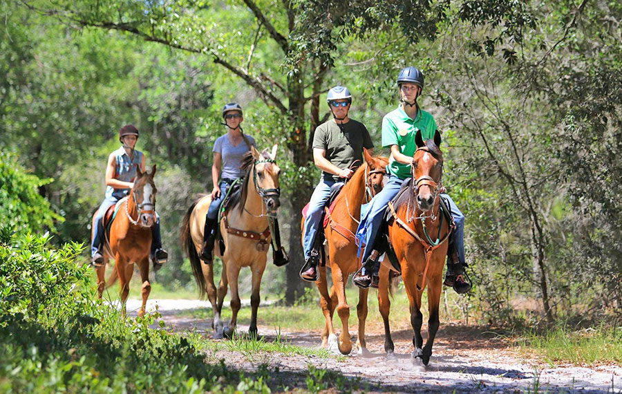 row of helmeted horseback riders walking up trail through wooded area lake louisa state park orlando