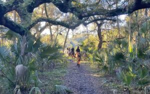 row of horseback riders along trail with trees above at hidden palms ranch sanford orlando