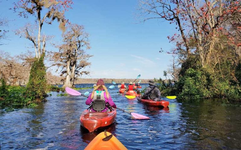 row of kayakers on lake for science saturdays tour at oakland nature preserve winter garden orlando