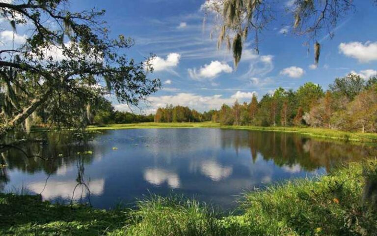 scenic view of lake with greenery at little wekiva river preserve state park sanford