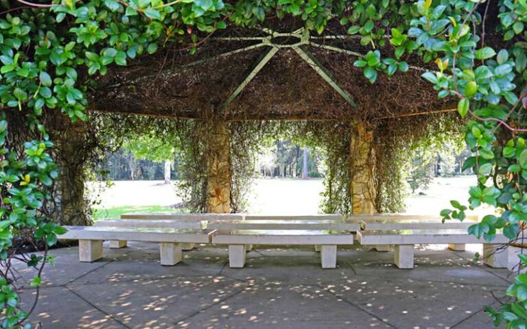 shady pergebo with seating and ivy vines at sholom park ocala