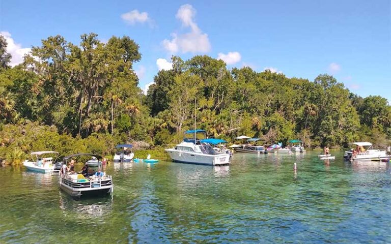 springs with boats anchored along treeline at ocala national forest