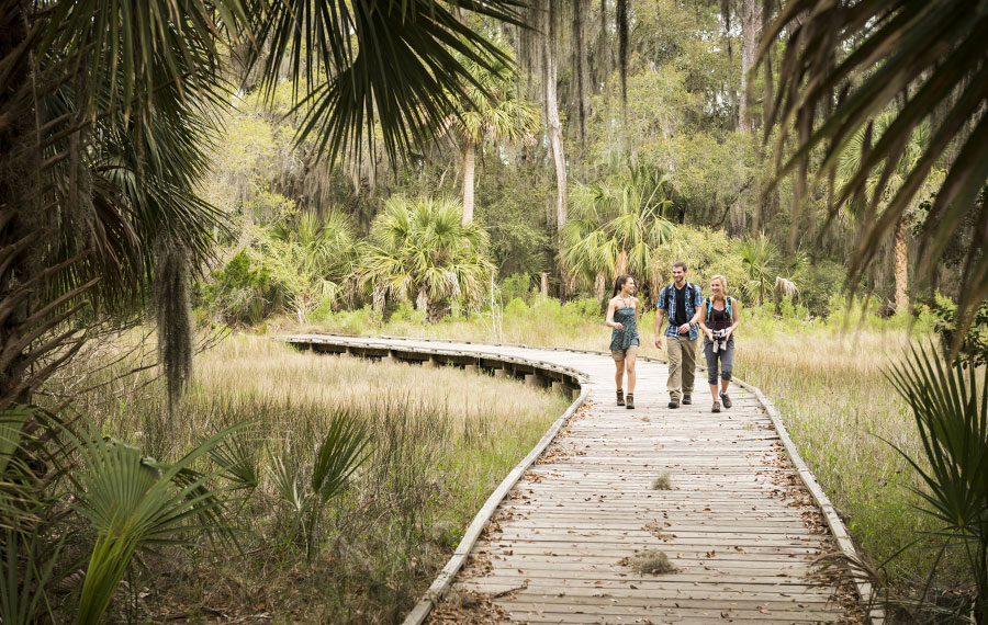 three hikers on boardwalk through clearing with prairie grass and palms