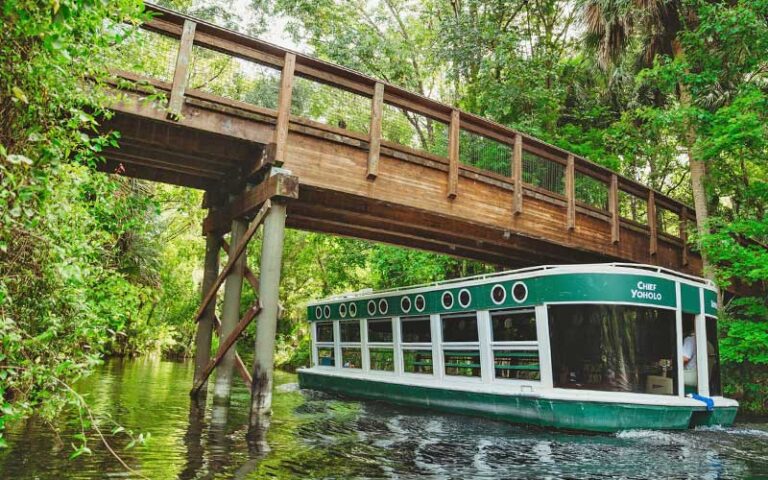 tour boat moving along river under footbridge at glass bottom boat tours at silver springs ocala