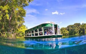 tour boat viewed from springs surface at glass bottom boat tours at silver springs ocala