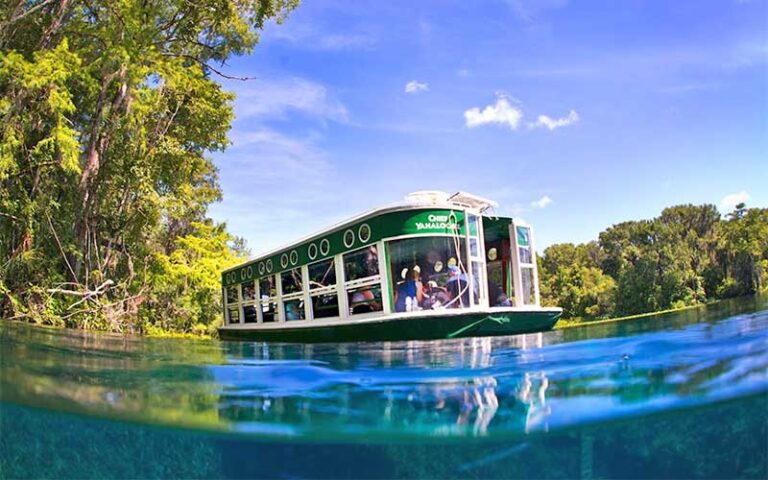 tour boat viewed from springs surface at glass bottom boat tours at silver springs ocala