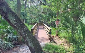 trail starting boardwalk with sign and tree at black bear wilderness area sanford