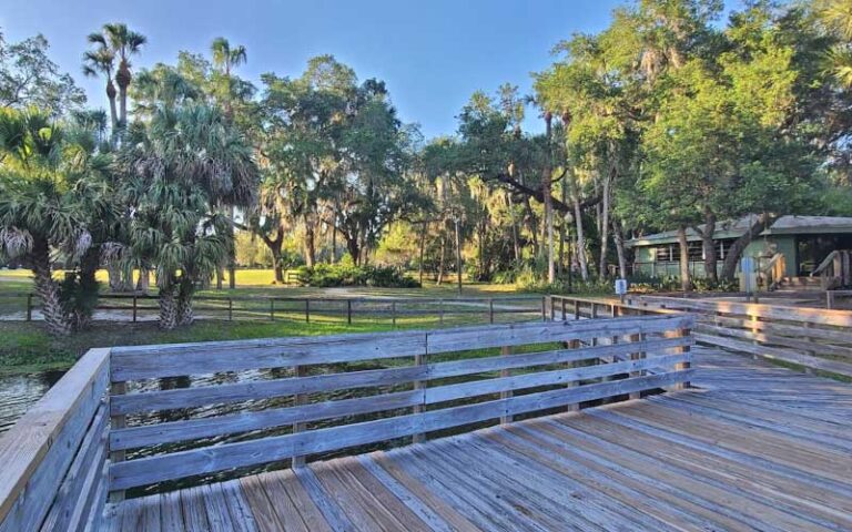 view from fishing dock of park and building at gemini springs park debary