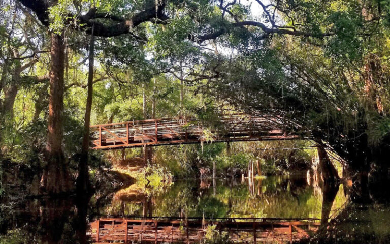 view of bridge across water with reflection at shingle creek regional park steffee landing kissimmee