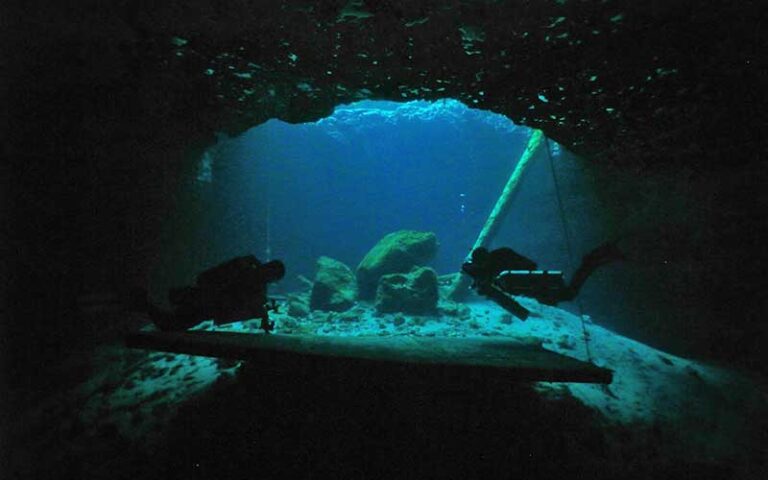 view of spring underwater with divers at paradise springs ocala