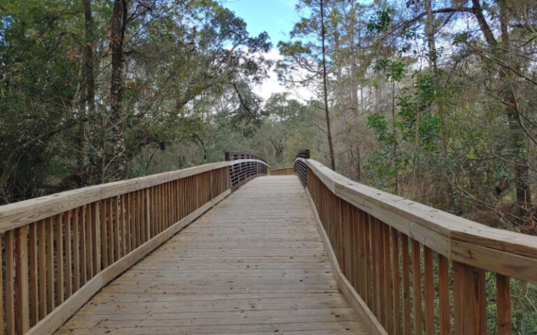 view of wide boardwalk leading to bridge at shingle creek regional park steffee landing kissimmee