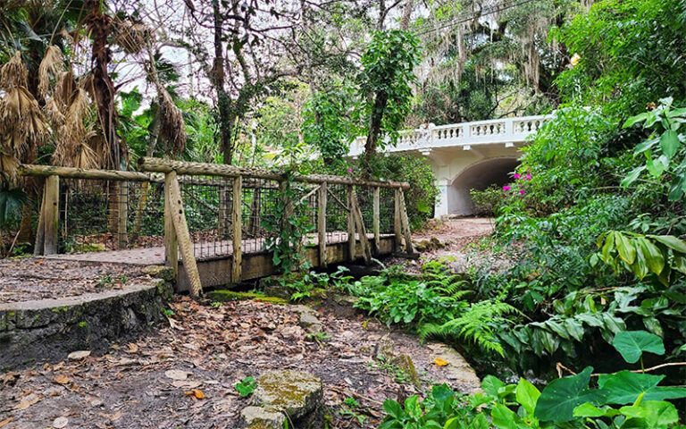 wooden foot bridge and overpass at dickson azalea park orlando