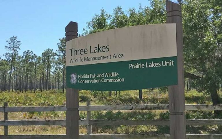 wooden park sign with trees and fence at three lakes wildlife management area kenansville