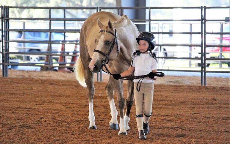 young girl leading horse in corral at florida horse park ocala