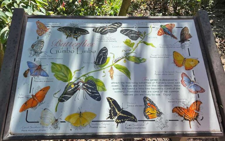 butterfly garden sign at gumbo limbo nature center boca raton