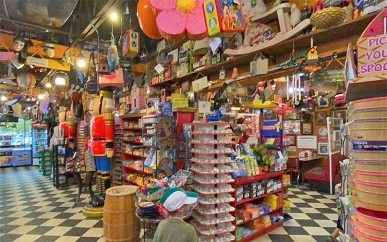 country store interior with candy and toys at the girls strawberry u pick delray beach