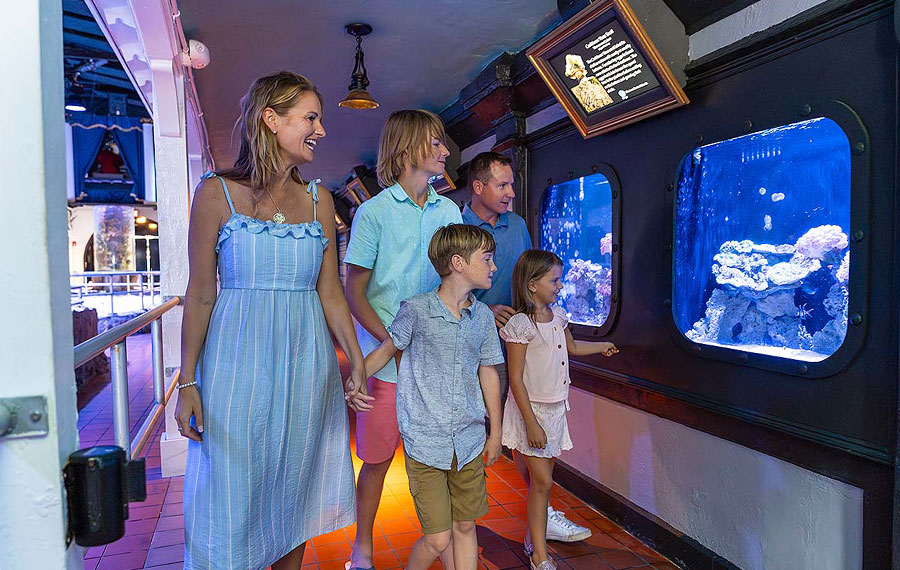 family viewing fish through aquarium windows key west aquarium