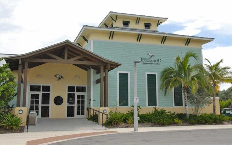 front exterior of building with sign at loggerhead marinelife center juno beach