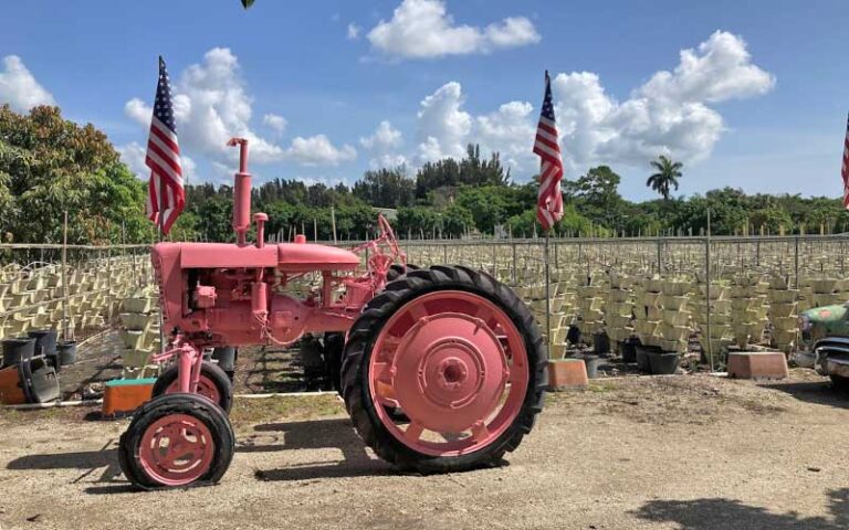 fruit farm with antique tractor at the girls strawberry u pick delray beach