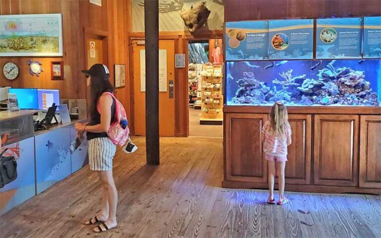 girl and woman looking at exhibits inside at gumbo limbo nature center boca raton